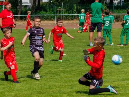 Hillen Cup 2024